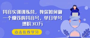 抖音实训训练营,教你如何做一个赚钱的抖音号,单日单号增粉30万-小牛学府