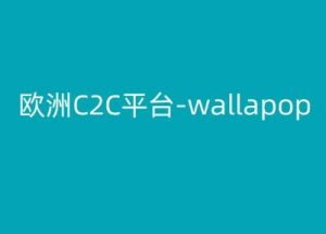 欧洲C2C平台-wallapop-kim跨境电商教程-小牛学府