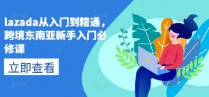lazada从入门到精通，跨境东南亚新手入门必修课-小牛学府