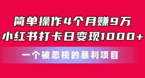 简单操作4个月赚9w,小红书打卡日变现1k,一个被忽视的暴力项目【揭秘】-小牛学府