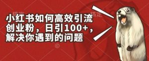 小红书如何高效引流创业粉，日引100+，解决你遇到的问题【揭秘】-小牛学府