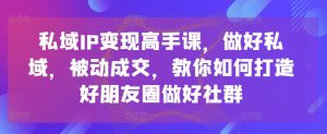 私域IP变现高手课，做好私域，被动成交，教你如何打造好朋友圈做好社群-小牛学府