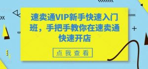 速卖通VIP新手快速入门班,手把手教你在速卖通快速开店-小牛学府