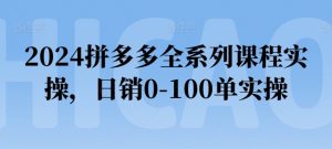 2024拼多多全系列课程实操，日销0-100单实操【必看】-小牛学府