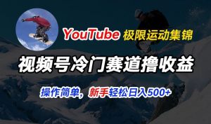 视频号冷门赛道撸收益，YouTube搬运极限运动集锦，暴力起号，操作简单流量高，轻松日入5张【揭秘】-小牛学府