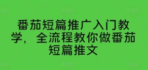 番茄短篇推广入门教学，全流程教你做番茄短篇推文-小牛学府