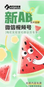 梅花实验室2024年AB技术视频号AB合成破解版-小牛学府