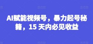 AI赋能视频号，暴力起号秘籍，15 天内必见收益【揭秘】-小牛学府