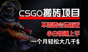 CSGO 装备搬砖项目，操作简单，不需要会玩游戏，小白也能快速上手，一个月轻松大几千【揭秘】-小牛学府