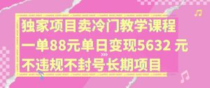 独家项目卖冷门教学课程一单88元单日变现5632元违规不封号长期项目【揭秘】-小牛学府
