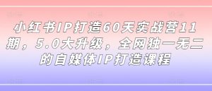 小红书IP打造60天实战营11期,5.0大升级,全网独一无二的自媒体IP打造课程-小牛学府