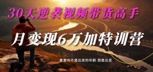30天逆袭视频带货高手,单月变现6万加特训营-麦子甜-小牛学府
