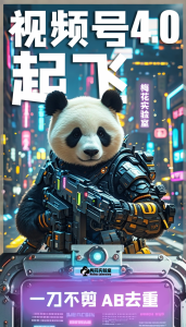 梅花实验窒微信视频号连怼玩法技巧起飞4.0一键AB破解版【揭秘】-小牛学府