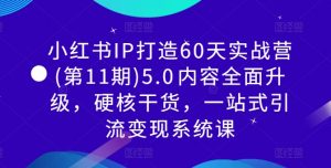 小红书IP打造60天实战营(第11期)5.0内容全面升级,硬核干货,一站式引流变现系统课-小牛学府