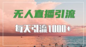 抖音快手视频号全平台通用,无人直播引流法,超暴力引流1000+高质量精准创业粉【揭秘】-小牛学府