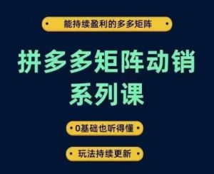 拼多多矩阵动销系列课，能持续盈利的多多矩阵，0基础也听得懂，玩法持续更新-小牛学府