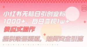 小红书无脑每日引流创业粉500+，小白每天只花半小时，躺赚长尾收益【揭秘】-小牛学府
