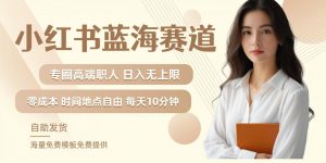 小红书蓝海赛道,圈中高端职场人,月入无上限,可矩阵,内含私域实操教程!-小牛学府