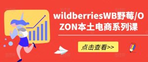 wildberriesWB野莓/OZON本土电商系列课,掌握WB产品优化,出单技巧和订单处理等-小牛学府