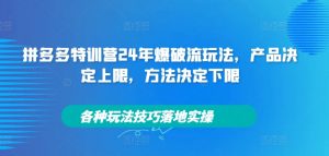 拼多多特训营24年爆破流玩法,产品决定上限,方法决定下限,各种玩法技巧落地实操-小牛学府