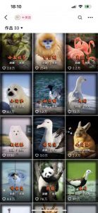 动物科普解说项目，撸创作者伙伴计划收益，保姆级实战教程-小牛学府