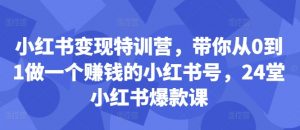 小红书变现特训营,带你从0到1做一个赚钱的小红书号,24堂小红书爆款课-小牛学府