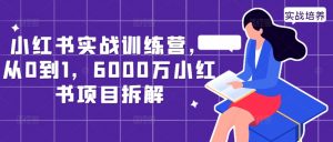 小红书实战训练营,从0到1,6000万小红书项目拆解-小牛学府