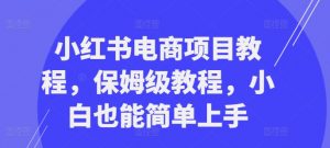 小红书电商项目教程,保姆级教程,小白也能简单上手-小牛学府