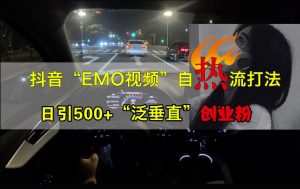 抖音EMO视频自热打法,日引500+“泛垂直”创业粉-小牛学府