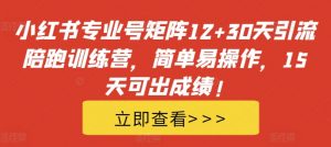 小红书专业号矩阵12+30天引流陪跑训练营，简单易操作，15天可出成绩!-小牛学府