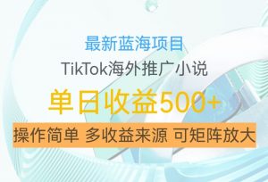 最新蓝海项目,利用tiktok海外推广小说赚钱佣金,简单易学,日入500+,可矩阵放大【揭秘】-小牛学府