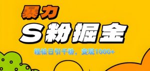 单人单机日引千粉,变现1k+,S粉流量掘金计划攻略【揭秘】-小牛学府