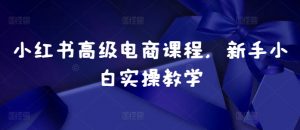 小红书高级电商课程,新手小白实操教学-小牛学府