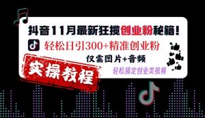 抖音11月最新狂揽创业粉秘籍，轻松日引300+精准创业粉，仅需图片+音频，轻松搞定创业类视频-小牛学府