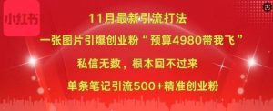 小红书11月最新图片打粉,一张图片引爆创业粉,“预算4980带我飞”,单条引流500+精准创业粉-小牛学府