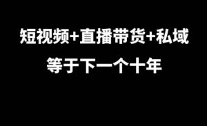 短视频+直播带货+私域等于下一个十年，大佬7年实战经验总结-小牛学府
