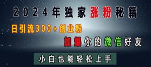 2024年独家涨粉秘籍，日引流300+创业粉，加爆你的微信好友，小白也能轻松上手-小牛学府
