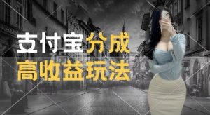 支付宝分成计划新玩法，利用交通事故视频，赚收益，轻松月入过W，操作简单【揭秘】-小牛学府