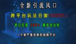 全新引流风口,跨平台玩法日入上k,单日狂揽200+精准创业粉,一个被严重忽略的视频平台-小牛学府