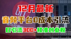 12月最新:音频平台0成本引流,日引流300+精准创业粉-小牛学府
