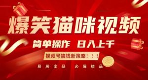 爆笑猫咪视频:简单操作,日入过K,视频号搞钱新策略【揭秘】-小牛学府