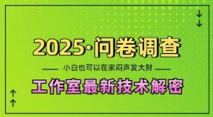 2025问卷调查最新工作室技术解密:一个人在家也可以闷声发大财,小白一天2张,可矩阵放大【揭秘】-小牛学府