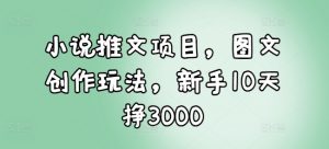 小说推文项目,图文创作玩法,新手10天挣3000-小牛学府