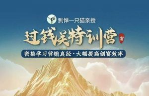 剽悍一只猫-过钱关特训营，学习营销真经 大幅度提高创富效率-小牛学府