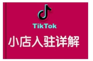 TikTok跨境小店运营全攻略,帮助你独立运营TK跨境小店的能力,实现销量增长-小牛学府