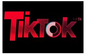 TikTok ads投流秘籍,涵盖tiktok整体投放思路,教你搭建测试计划-小牛学府