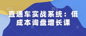 直通车实战系统:低成本询盘增长课,让个人通过技能实现升职加薪,让企业低成本获客,订单源源不断-小牛学府