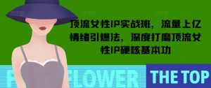 顶流女性IP实战班，流量上亿情绪引爆法，深度打磨顶流女性IP硬核基本功-小牛学府