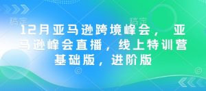 12月亚马逊跨境峰会, 亚马逊峰会直播,线上特训营基础版,进阶版-小牛学府