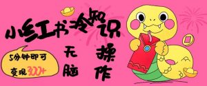 小红书冷知识账号,无脑复制粘贴,5分钟即可变现3张-小牛学府